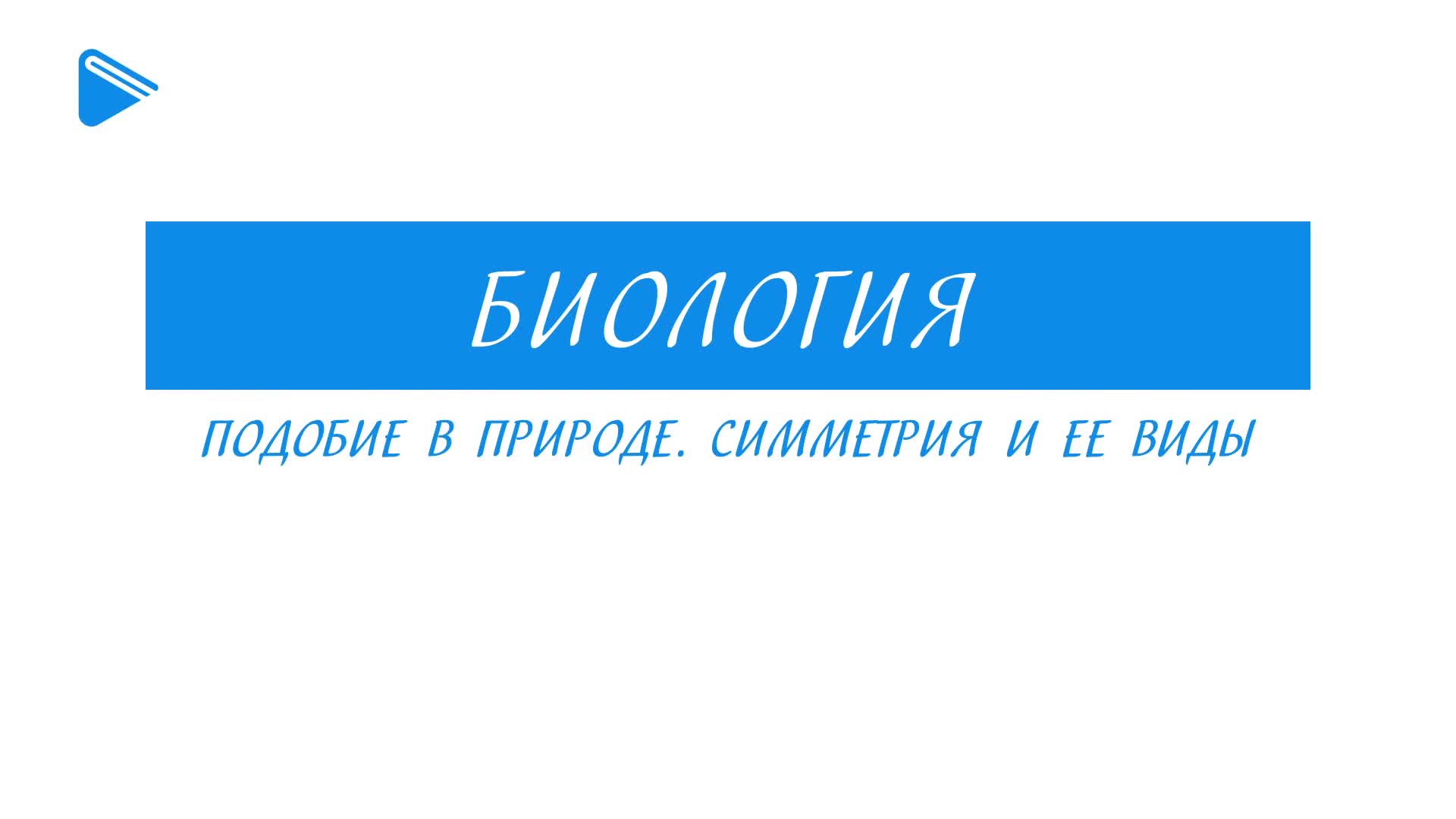 Подобие в природе. Симметрия и её виды