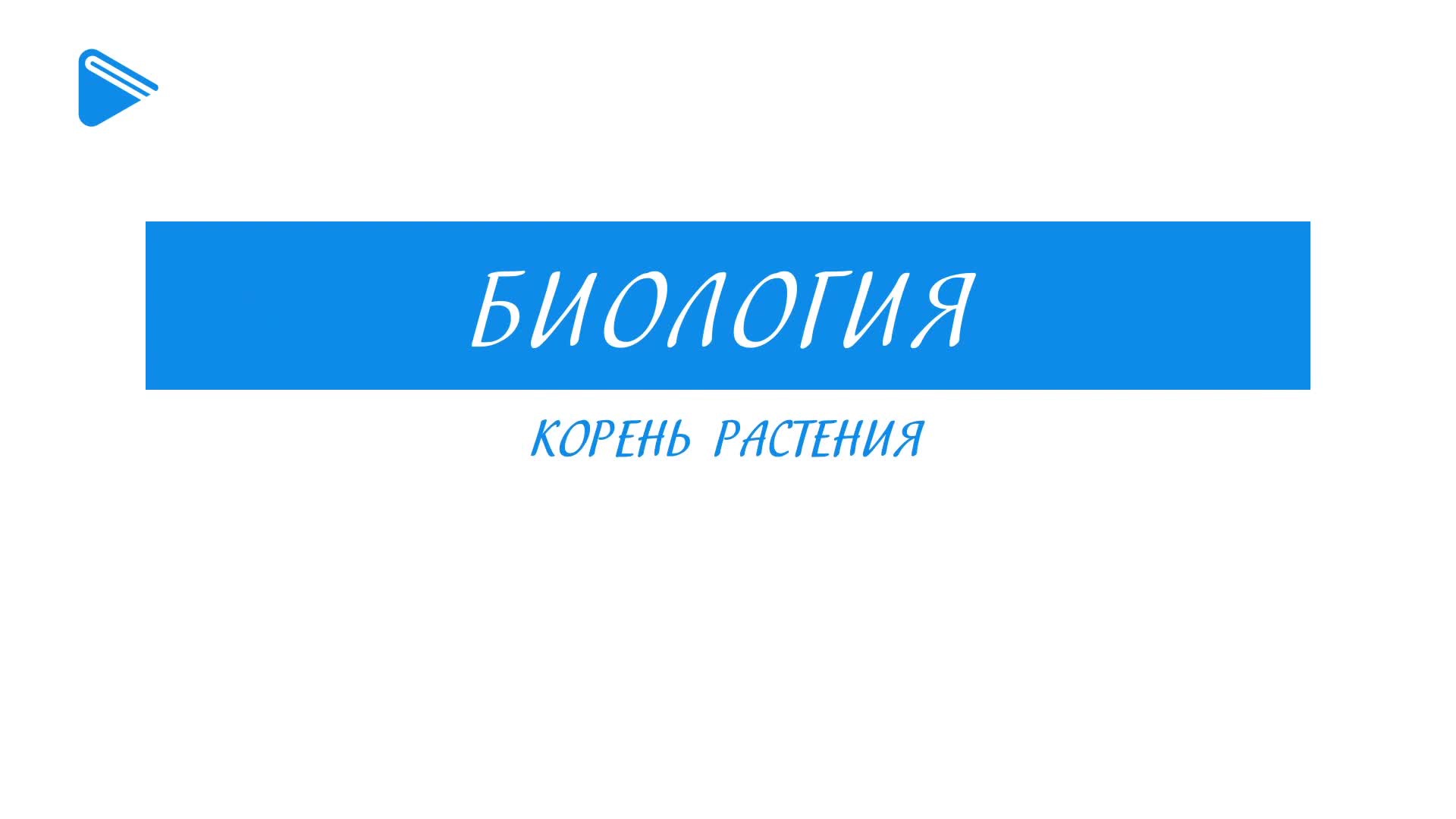 Корень растения