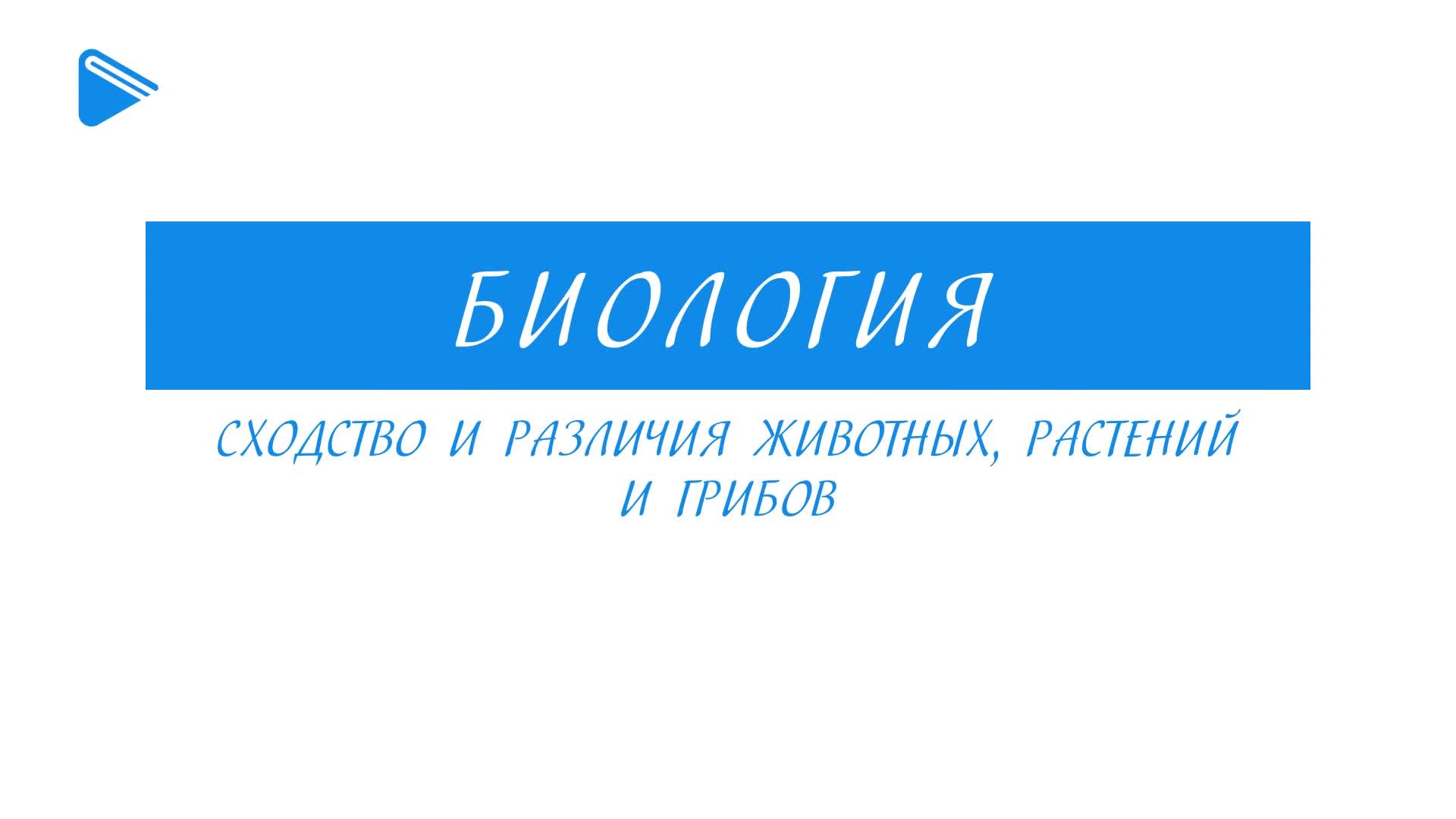 Сходства и различия животных, растений и грибов