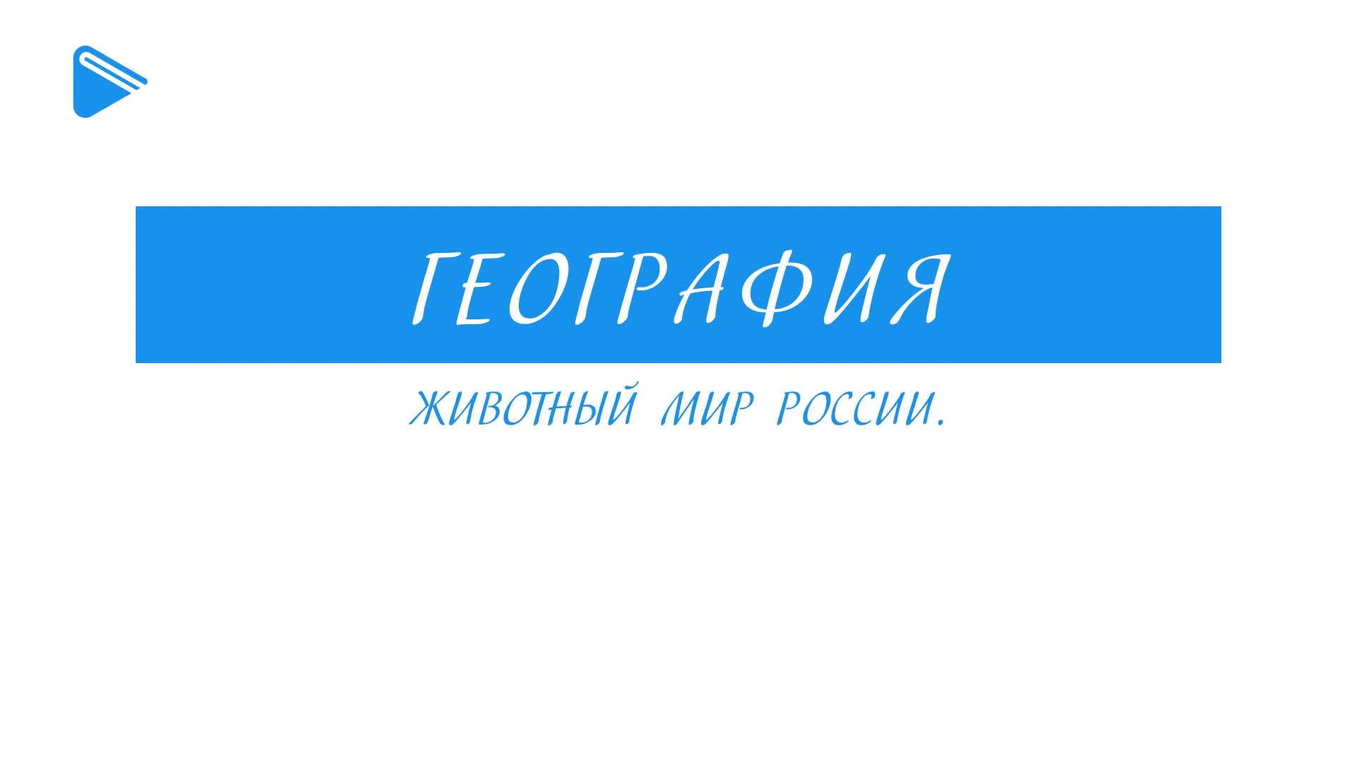 Животный мир России