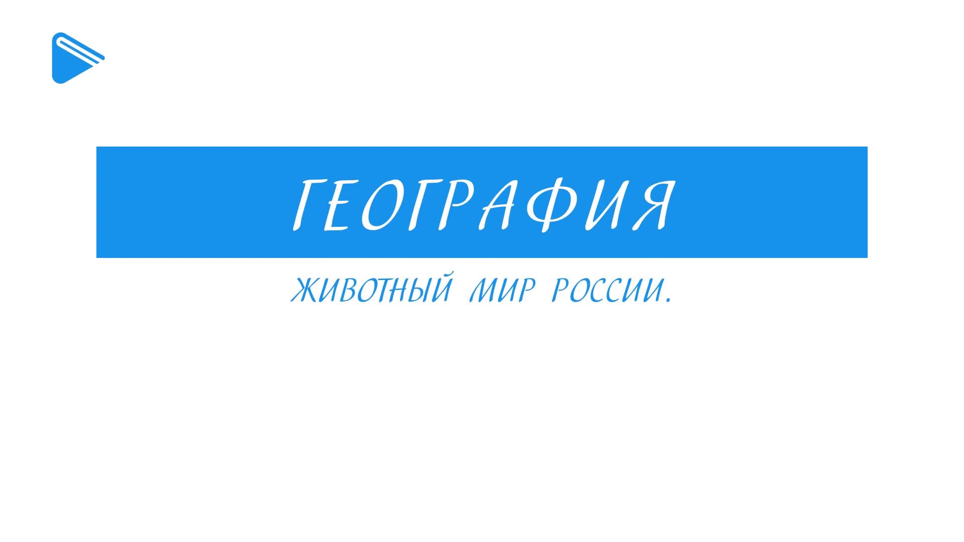Животный мир России