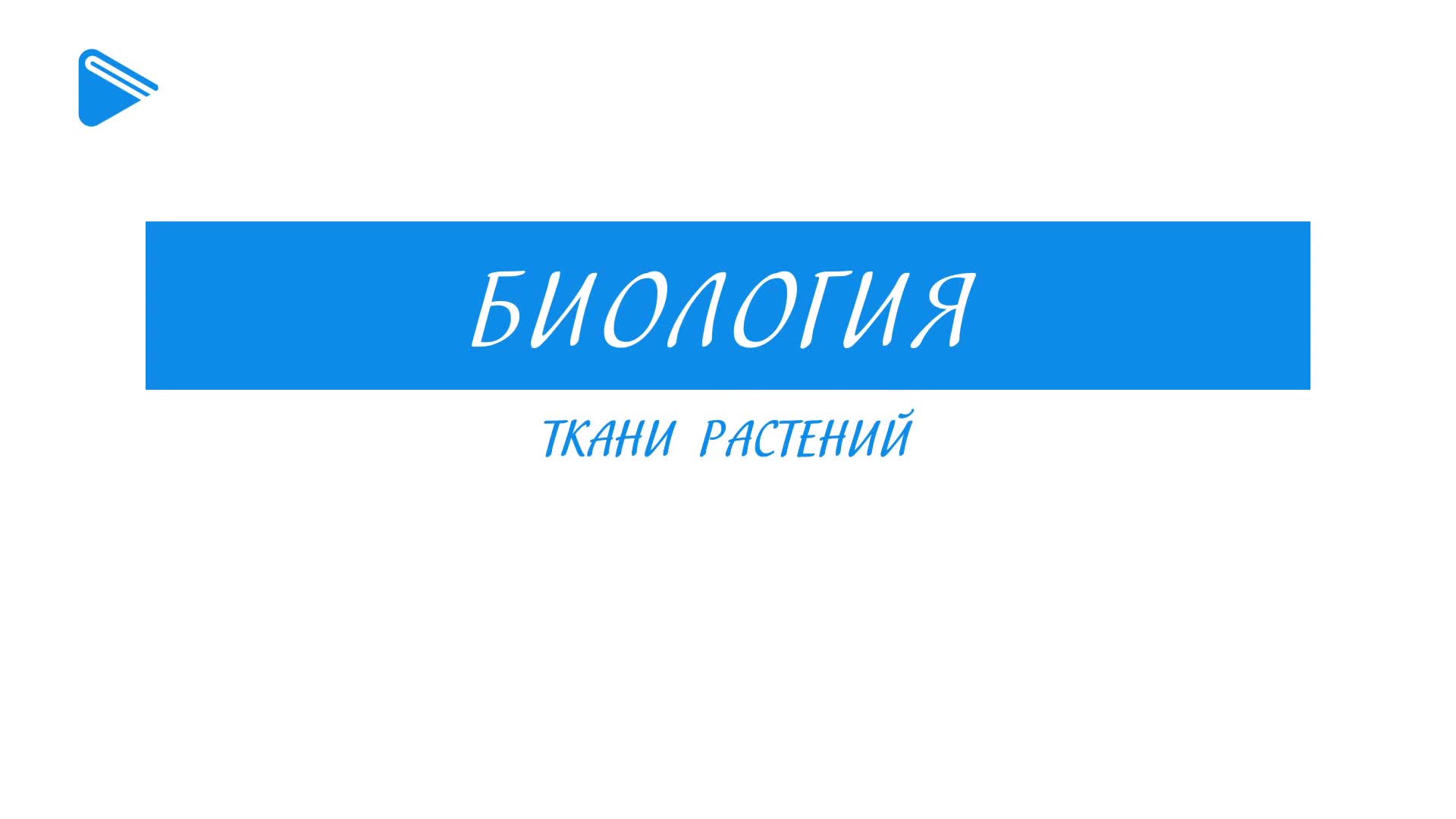 Ткани растений