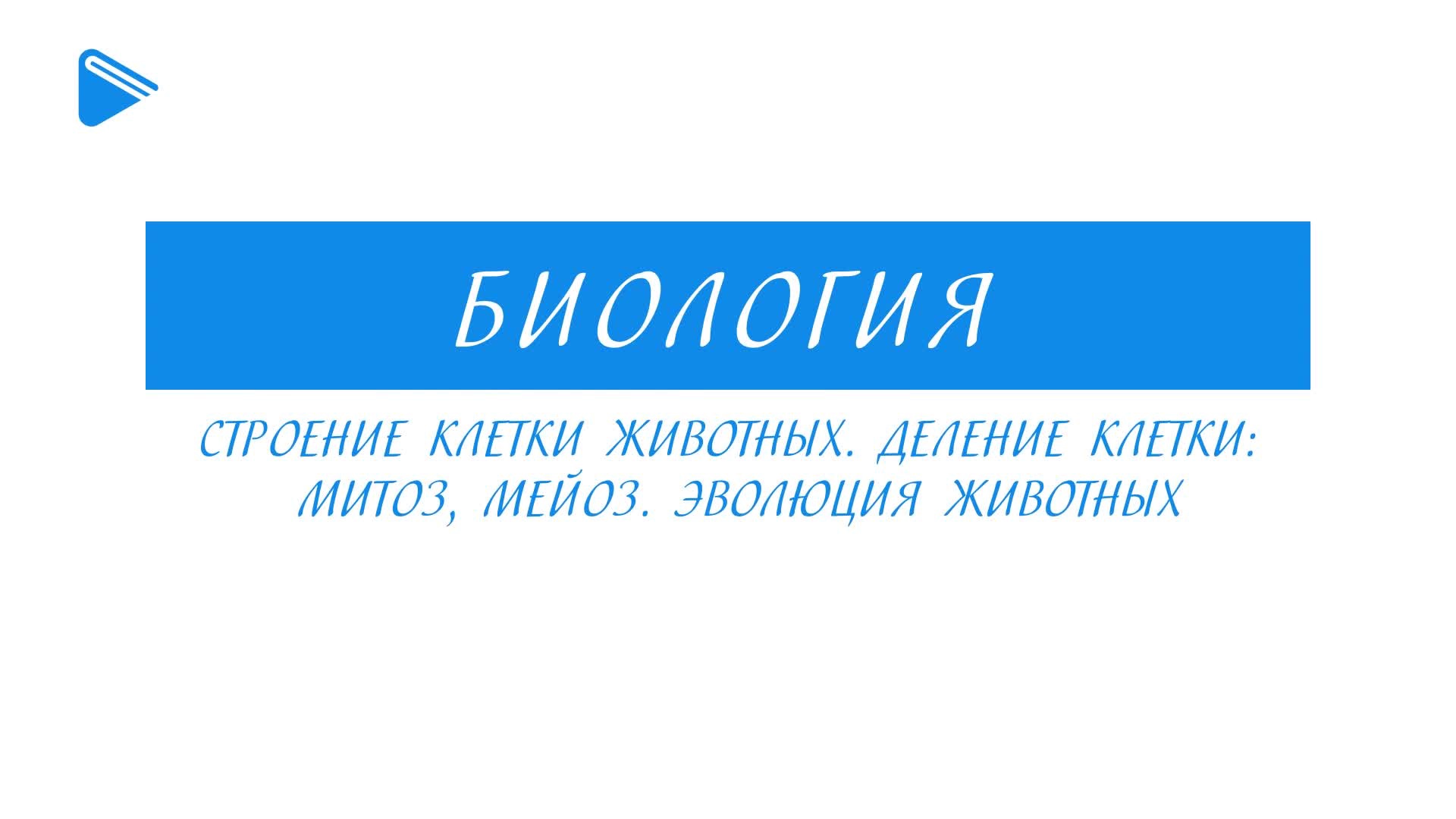 Строение клетки животных