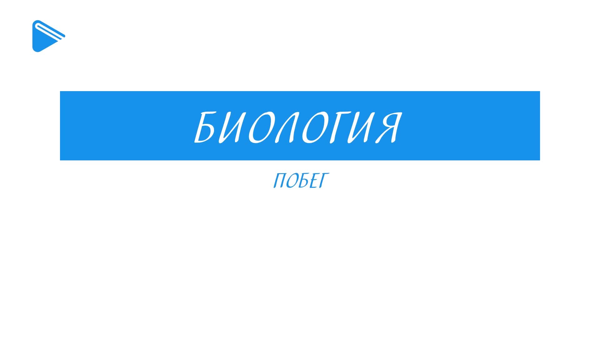 Побег
