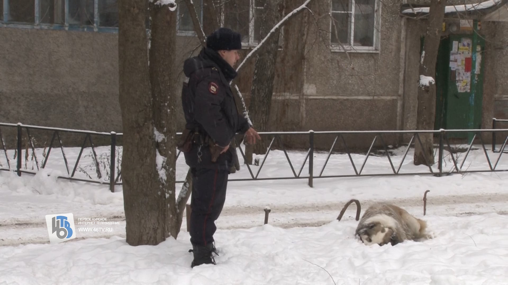 Зрелые бабы в деревне