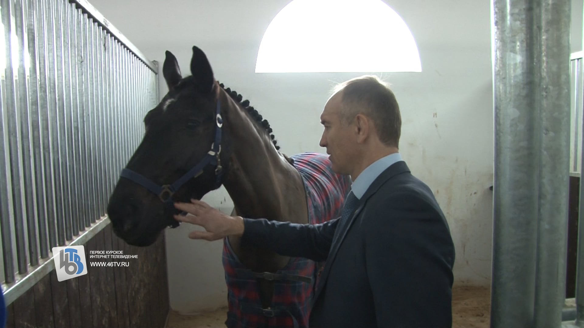 Курский депутат и конь 11.02.2019 год