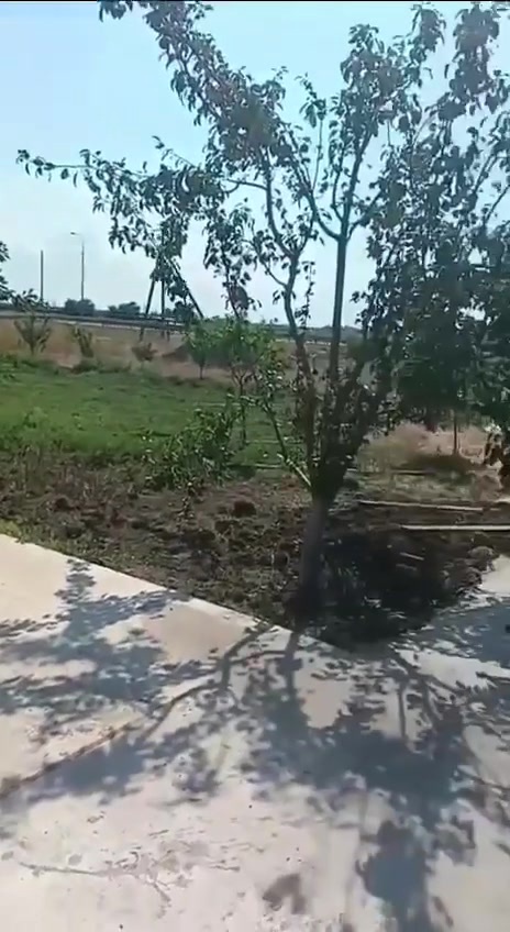 Видеоотзыв клиента о бане-бочке Сабантуй